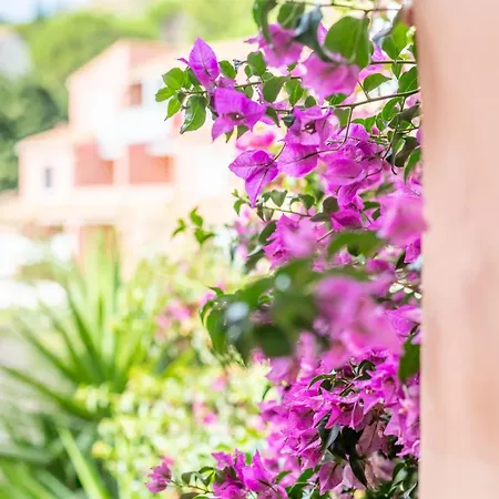 Meu Delit 아파트 *