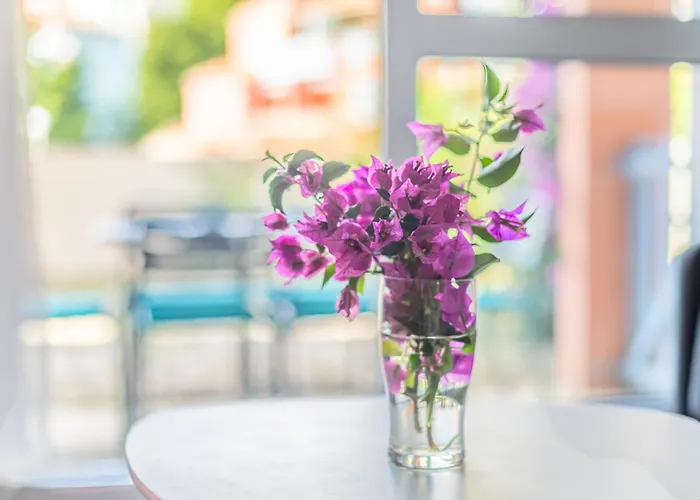 Meu Delit Apartamento *