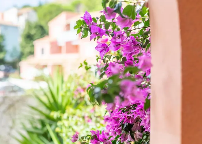 Meu Delit Apartamento *